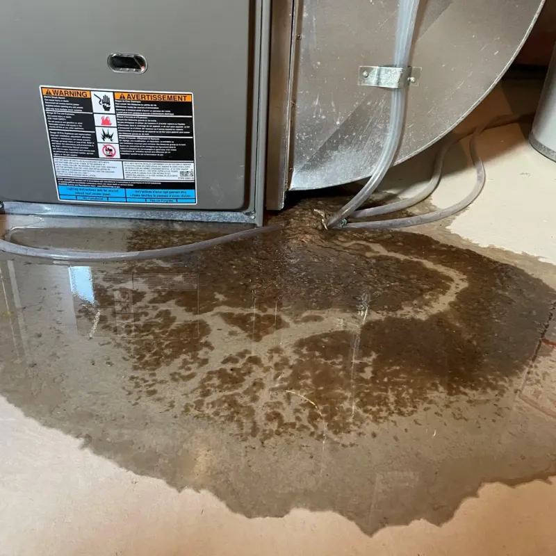 Appliance Leak Cleanup in Wyndmoor, PA